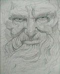 The Old Sage